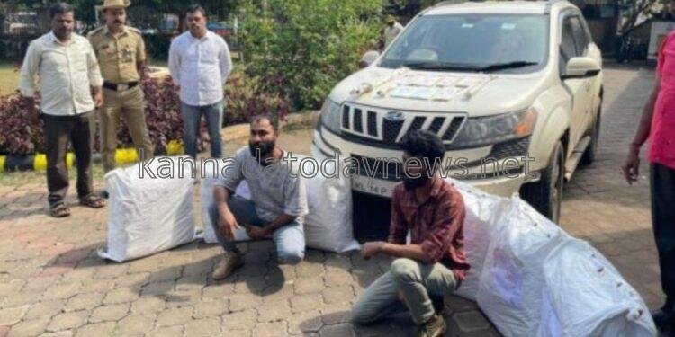 ಆಂಧ್ರದಿಂದ ಮಂಗಳೂರಿಗೆ ಗಾಂಜ ಸಾಗಾಟ: 137 ಕೆ.ಜಿ.ಗಾಂಜಾ ವಶ, 2 ಜನ ಆರೋಪಿಗಳ ಬಂಧನ