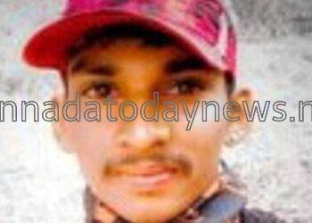 ಮರದ ಕೊಂಬೆ ಕಡಿಯುತ್ತಿದ್ದ ಯುವಕನಿಗೆ ವಿದ್ಯುತ್ ತಂತಿ ತಗಲಿ ಸಾವು