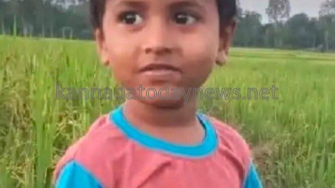 ಮನೆಯ ಹೊರಗಡೆ ಆಟ ಆಡುತ್ತಿದ್ದ 4 ವರ್ಷದ ಬಾಲಕನನ್ನು ಕಚ್ಚಿ ತಿಂದ ಬೀದಿ ನಾಯಿಗಳು