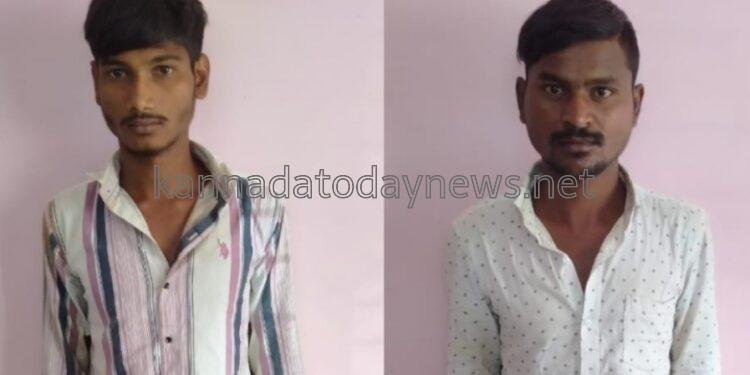 ರಾಷ್ಟ್ರೀಯ ಹೆದ್ದಾರಿಯಲ್ಲಿ ವಾಹನ ಅಡ್ಡಗಟ್ಟಿ ದರೊಡೆಗೆ ಯತ್ನ ಇಬ್ಬರ ಬಂಧನ