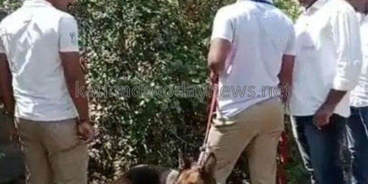 ಜಡ್ಜ್ ಮನೆಗೆ ಕನ್ನ ಹಾಕಿದ ಚಾಲಾಕಿ ಕಳ್ಳರು