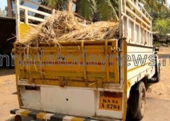 ಅಕ್ರಮವಾಗಿ ಸಾಗಾಟ ಮಾಡುತ್ತಿದ್ದ 1.40 ಲಕ್ಷ ರೂಪಾಯಿ ಮೌಲ್ಯದ 700 ಕೆ.ಜಿ ಗೋಮಾಂಸ ವಾಹನ ಸಹಿತ ವಶ- ಅರೋಪಿ ಪರಾರಿ