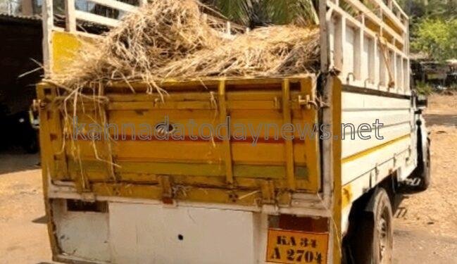 ಅಕ್ರಮವಾಗಿ ಸಾಗಾಟ ಮಾಡುತ್ತಿದ್ದ 1.40 ಲಕ್ಷ ರೂಪಾಯಿ ಮೌಲ್ಯದ 700 ಕೆ.ಜಿ ಗೋಮಾಂಸ ವಾಹನ ಸಹಿತ ವಶ- ಅರೋಪಿ ಪರಾರಿ