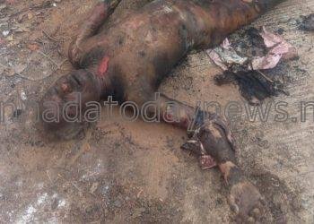 ವ್ಯಕ್ತಿಯೋರ್ವನ ಮೃತದೇಹ ಸುಟ್ಟ ಅವಸ್ಥೆಯಲ್ಲಿ ಪತ್ತೆ-ಪ್ರಕರಣ ದಾಖಲು