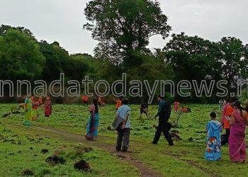 ಶ್ರೀ ಕ್ಷೇತ್ರ ಧರ್ಮಸ್ಥಳ ಗ್ರಾಮಾಭಿವೃದ್ಧಿ ಯೋಜನೆಯ ಮೂಲಕ ಪೂಜ್ಯರ ಆಶಯದಂತೆ ಸಾಮಾಜಿಕ ಅರಣ್ಯೀಕರಣ ಕಾರ್ಯಕ್ರಮದಡಿಯಲ್ಲಿ ಕಟಗಾರಕೊಪ್ಪ ಗ್ರಾಮದ ಐನೊಳೆ ಅರಣ್ಯ ಪ್ರದೇಶದಲ್ಲಿ 1000 ಕ್ಕೂ ಹೆಚ್ಚು ಗಿಡ ನಾಟಿ