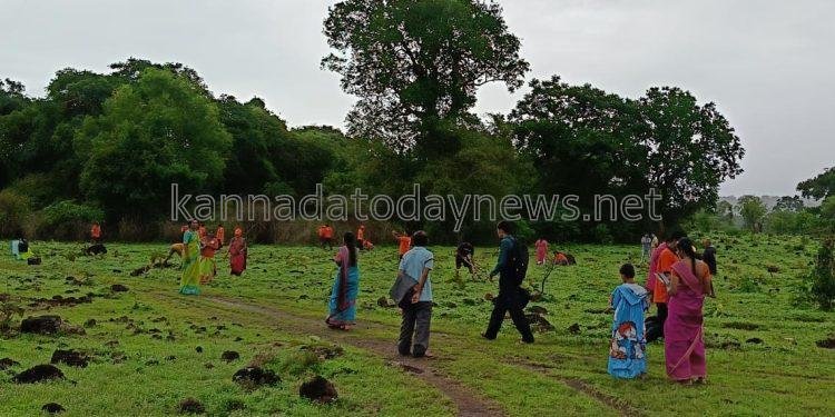 ಶ್ರೀ  ಕ್ಷೇತ್ರ ಧರ್ಮಸ್ಥಳ ಗ್ರಾಮಾಭಿವೃದ್ಧಿ ಯೋಜನೆಯ ಮೂಲಕ ಪೂಜ್ಯರ ಆಶಯದಂತೆ ಸಾಮಾಜಿಕ ಅರಣ್ಯೀಕರಣ ಕಾರ್ಯಕ್ರಮದಡಿಯಲ್ಲಿ ಕಟಗಾರಕೊಪ್ಪ ಗ್ರಾಮದ ಐನೊಳೆ ಅರಣ್ಯ ಪ್ರದೇಶದಲ್ಲಿ 1000 ಕ್ಕೂ ಹೆಚ್ಚು ಗಿಡ ನಾಟಿ