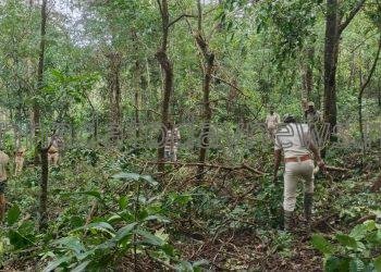 ಅರಣ್ಯ ಸಿಬ್ಬಂದಿಗಳು ಸಕ್ರೀಯೆ : ರಾಜ್ಯಾದ್ಯಂತ ಒಕ್ಕಲೆಬ್ಬಿಸುವ ಅರಣ್ಯ ಅತಿಕ್ರಮಣದಾರರ ಪಟ್ಟಿಗೆ ಚಾಲನ – ರವೀಂದ್ರ ನಾಯ್ಕ