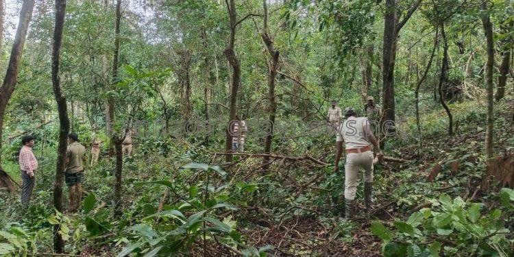 ಅರಣ್ಯ ಸಿಬ್ಬಂದಿಗಳು ಸಕ್ರೀಯೆ : ರಾಜ್ಯಾದ್ಯಂತ ಒಕ್ಕಲೆಬ್ಬಿಸುವ ಅರಣ್ಯ ಅತಿಕ್ರಮಣದಾರರ ಪಟ್ಟಿಗೆ ಚಾಲನ – ರವೀಂದ್ರ ನಾಯ್ಕ