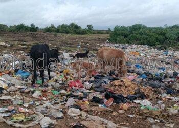 ದಕ್ಷಿಣಕಾಶಿ ಗೋಕರ್ಣ ಪಂಚಾಯತ್ ವ್ಯಾಪ್ತಿಯಲ್ಲಿ 70ಲಕ್ಷ ರೂಪಾಯಿ ವಿಶೇಷ ಅನುದಾನ ನಿರ್ಮಿಸಲಾದ ಕಸವಿಲೇವಾರಿ ಘಟಕ :ಮುಗಿಯದ ಕಸದ ಸಮಸ್ಯೆ