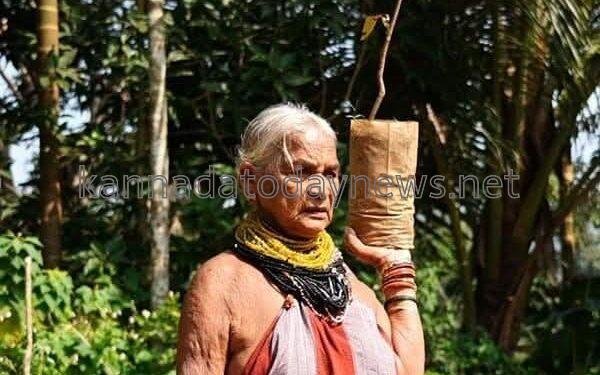 ಪದ್ಮಶ್ರೀ  ಪ್ರಶಸ್ತಿ ಪುರಸ್ಕ್ರತೆ ವೃಕ್ಷ ಮಾತೆ ತುಳಸಿ ಗೌಡ ನಿಧನ