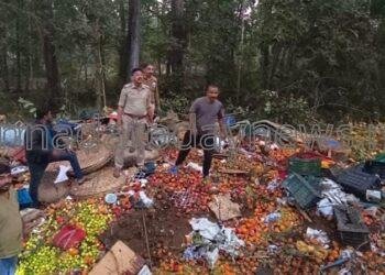 ಯಲ್ಲಾಪುರ ಅರಬೈಲ್ ಘಟ್ಟದ ಗುಳ್ಳಾಪುರ ಬಳಿ ಭೀಕರ ಅಪಘಾತ: 10 ಮಂದಿ ಸ್ಥಳದಲ್ಲೇ ಸಾವು