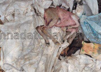 ಗೋ ಮಾಂಸಕ್ಕಾಗಿ ಗರ್ಭಿಣಿ ಹಸುವನ್ನು ಕಡಿದು ಹುಸುವಿನ ಹೊಟ್ಟೆಯಲ್ಲಿದ್ದ ಕರುವನ್ನು ಭಟ್ಕಳದ ಹೆಬಳೆ ವೆಂಕಟಾಪುರ ನದಿ ಅಂಚಿನಲ್ಲಿ ಗೋಣಿ ಚೀಲದಲ್ಲಿ ಸುತ್ತಿ ಎಸೆದ ದುಸ್ಕರ್ಮಿಗಳು