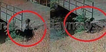 ಭಟ್ಕಳದಲ್ಲಿ ಮನೆಯ ಮುಂಭಾಗದಲ್ಲಿ  ಆಟವಾಡುತ್ತಿದ್ದ 2 ವರುಷದ ಮಗು ಕಾಲುವೆಗೆ ಬಿದ್ದು ನೀರಿನಲ್ಲಿ ಮುಳುಗಿ ಸಾವು.