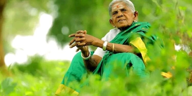 ವೃಕ್ಷಮಾತೆ ಸಾಲುಮರದ ತಿಮ್ಮಕ್ಕ ಅಗಲಿಕೆ – 114ನೇ ವಯಸ್ಸಿನಲ್ಲಿ ಪರಿವಾರಕ್ಕೆ ಅಂತಿಮ ವಿದಾಯ