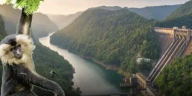 ಶರಾವತಿ ಪಂಪ್ಡ್ ಸ್ಟೋರೇಜ್  ಯೋಜನೆಗೆ ತಡೆ – ಪಶ್ಚಿಮ ಘಟ್ಟದ ಸಂರಕ್ಷಣೆಗೆ ಕೇಂದ್ರದ ಬಲವಾದ ನಿರ್ಧಾರ