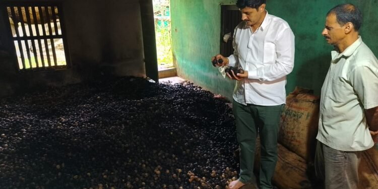 ಸಿದ್ದಾಪುರದ ಶೇಡಿದಂಟಕಲ್‌ನಲ್ಲಿ ಅಗ್ನಿ ಅವಘಡ: ಸಿಪ್ಪೆ ಅಡಿಕೆ ಸಂಗ್ರಹ ಬೆಂಕಿಗಾಹುತಿ, ವಿಶೇಷ ಪರಿಹಾರಕ್ಕೆ ಬಿಜೆಪಿ ರೈತ ಮೋರ್ಚಾ ಜಿಲ್ಲಾ ಅಧ್ಯಕ್ಷ ಅನಂತಮೂರ್ತಿ ಹೆಗಡೆ ಆಗ್ರಹ