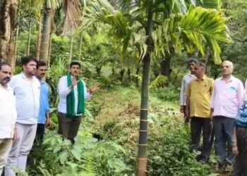 ಅಡಿಕೆ ಗಿಡಗಳ ಕಡಿತ ಆರೋಪ: ಅರಣ್ಯ ಇಲಾಖೆ ವಿರುದ್ಧ ಬಿಜೆಪಿ ರೈತ ಮೋರ್ಚಾ ಜಿಲ್ಲಾಧ್ಯಕ್ಷ ಅನಂತಮೂರ್ತಿ ಹೆಗಡೆ ಆಕ್ರೋಶ