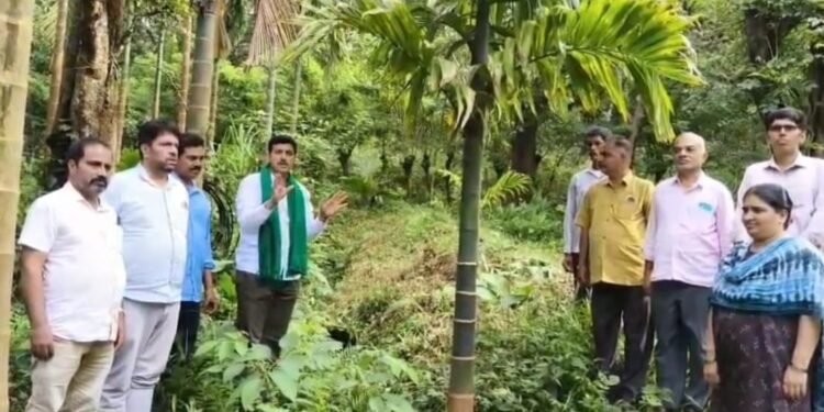 ಅಡಿಕೆ ಗಿಡಗಳ ಕಡಿತ ಆರೋಪ: ಅರಣ್ಯ ಇಲಾಖೆ ವಿರುದ್ಧ ಬಿಜೆಪಿ ರೈತ ಮೋರ್ಚಾ ಜಿಲ್ಲಾಧ್ಯಕ್ಷ ಅನಂತಮೂರ್ತಿ ಹೆಗಡೆ ಆಕ್ರೋಶ